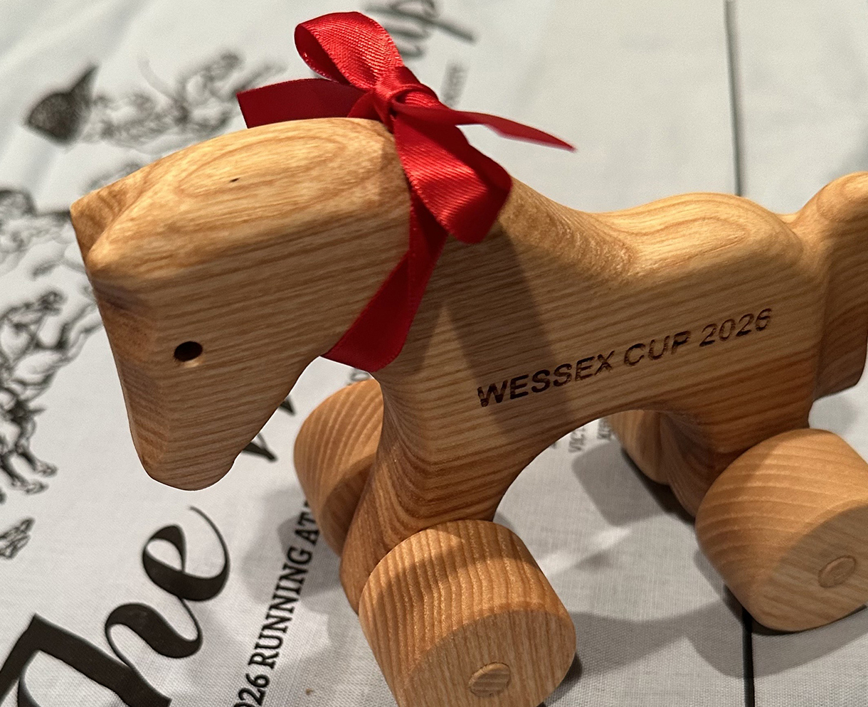 Wessex Cup pony wearing red ribbon